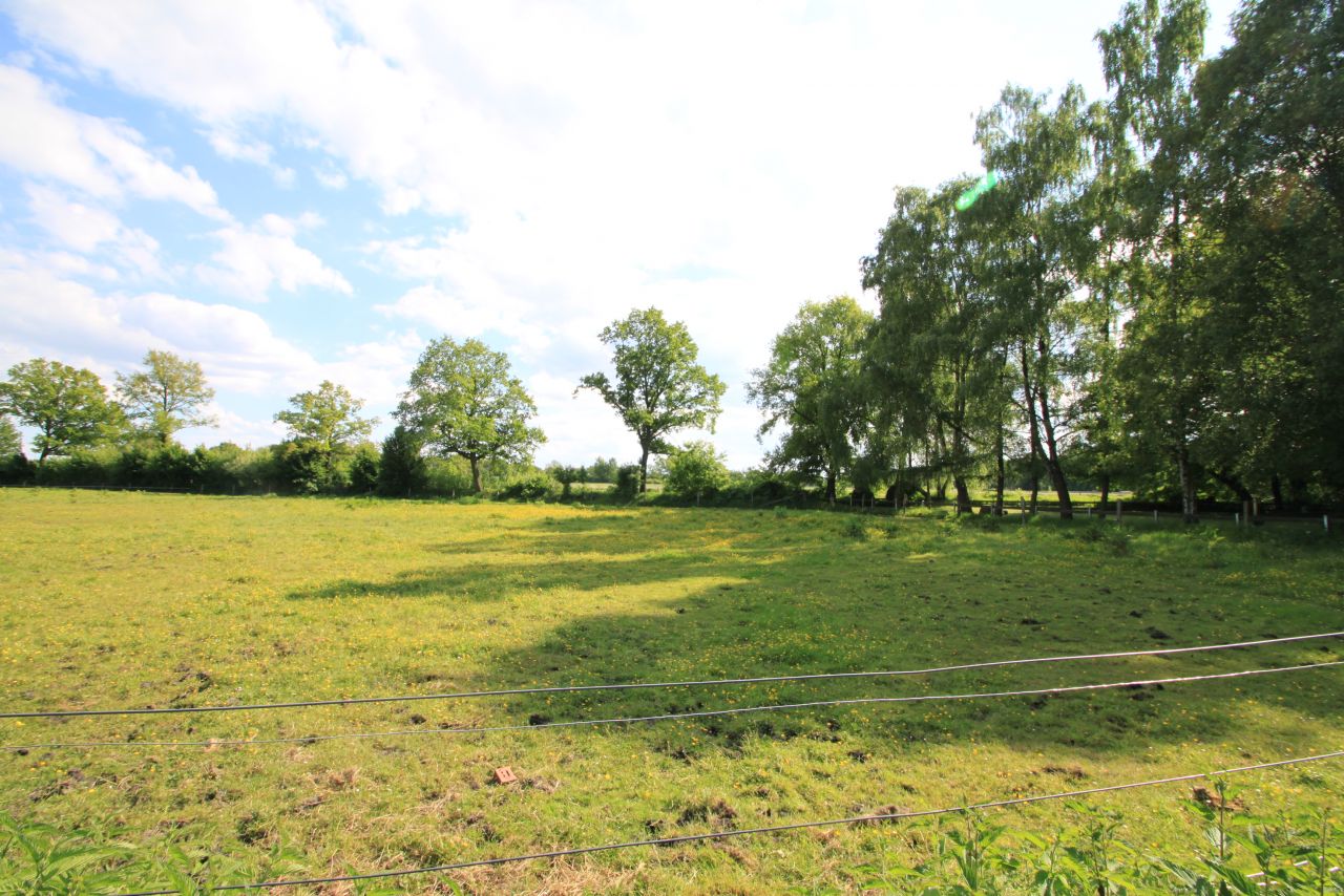 Traumgrundstück am Wasser Traumgrundstück am Wasser